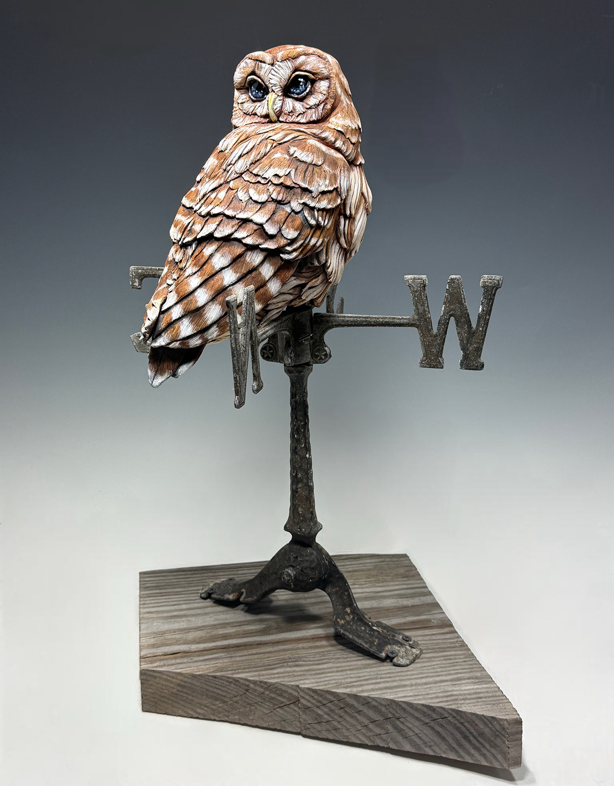 Noctua (Deana Bada Maloney)
