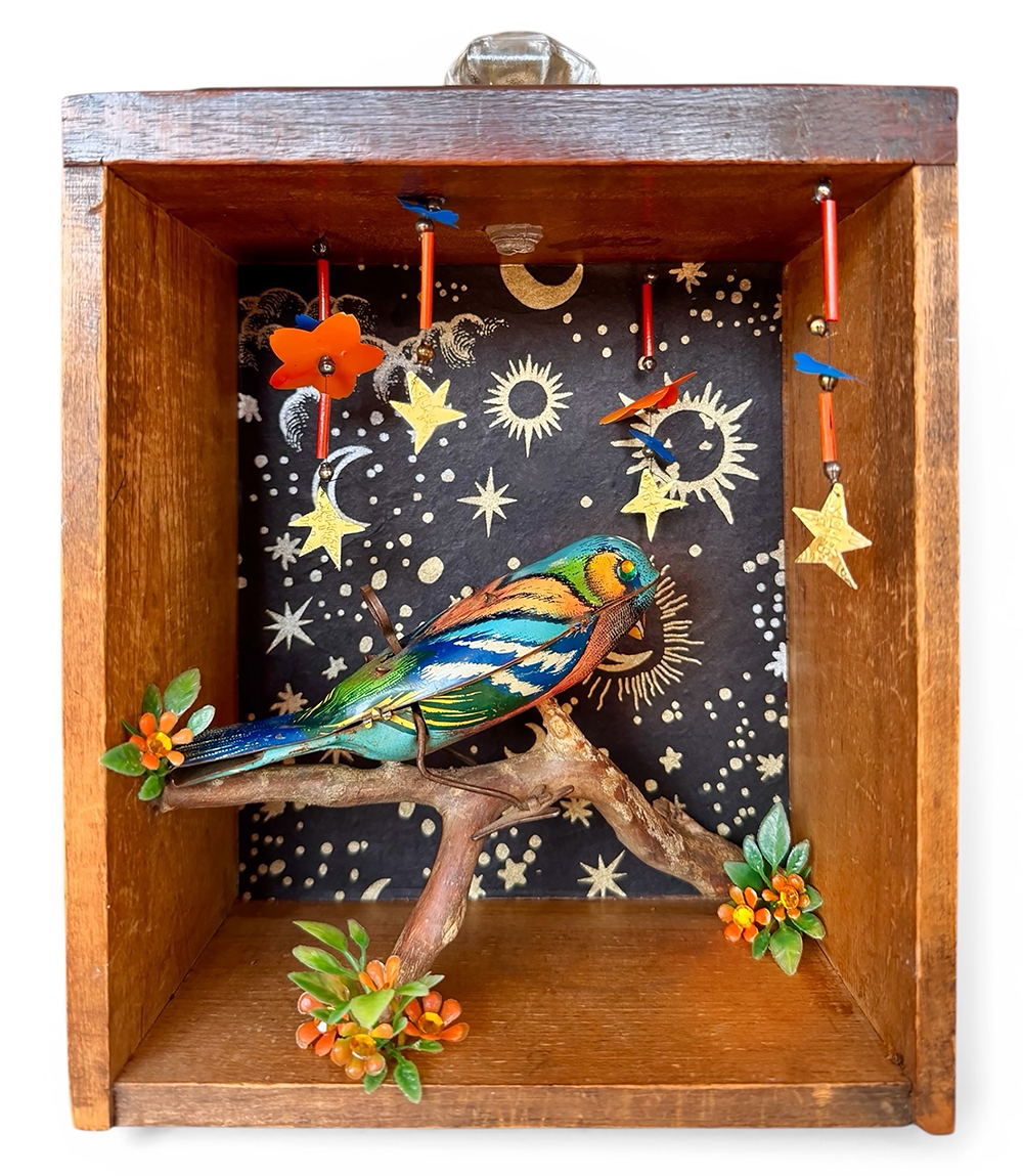 Stargazer (Diana Laufer)