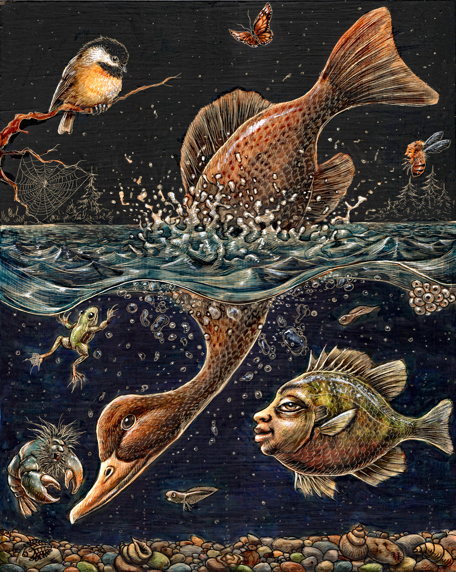 Dive (David Berkvam)