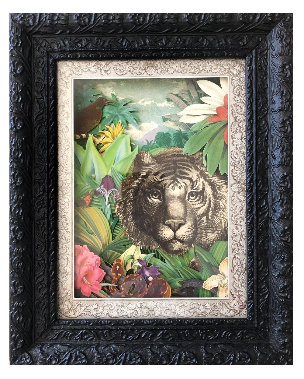 Wild cat - Olga Giteau