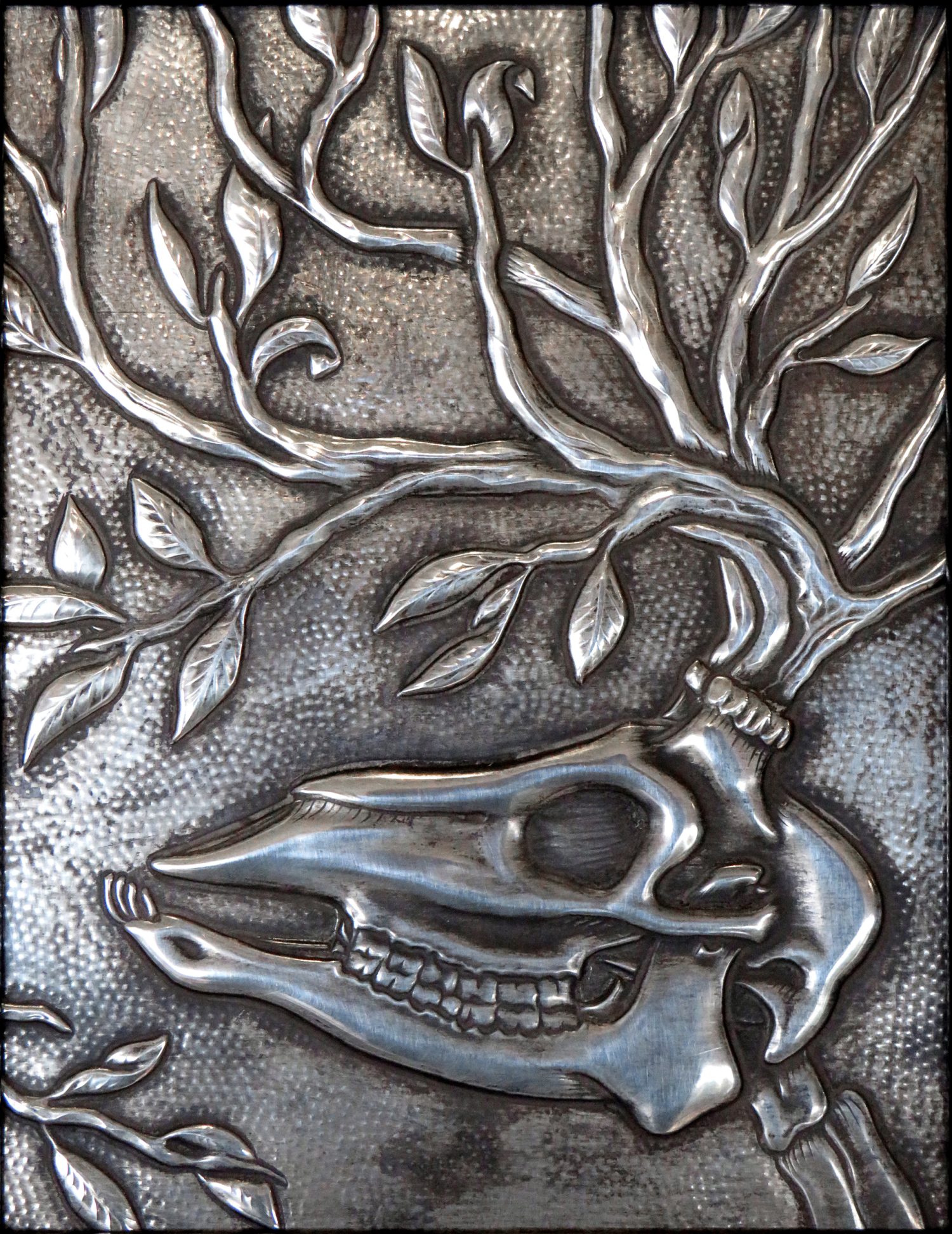 Rewilding - Kaitlin Beckett