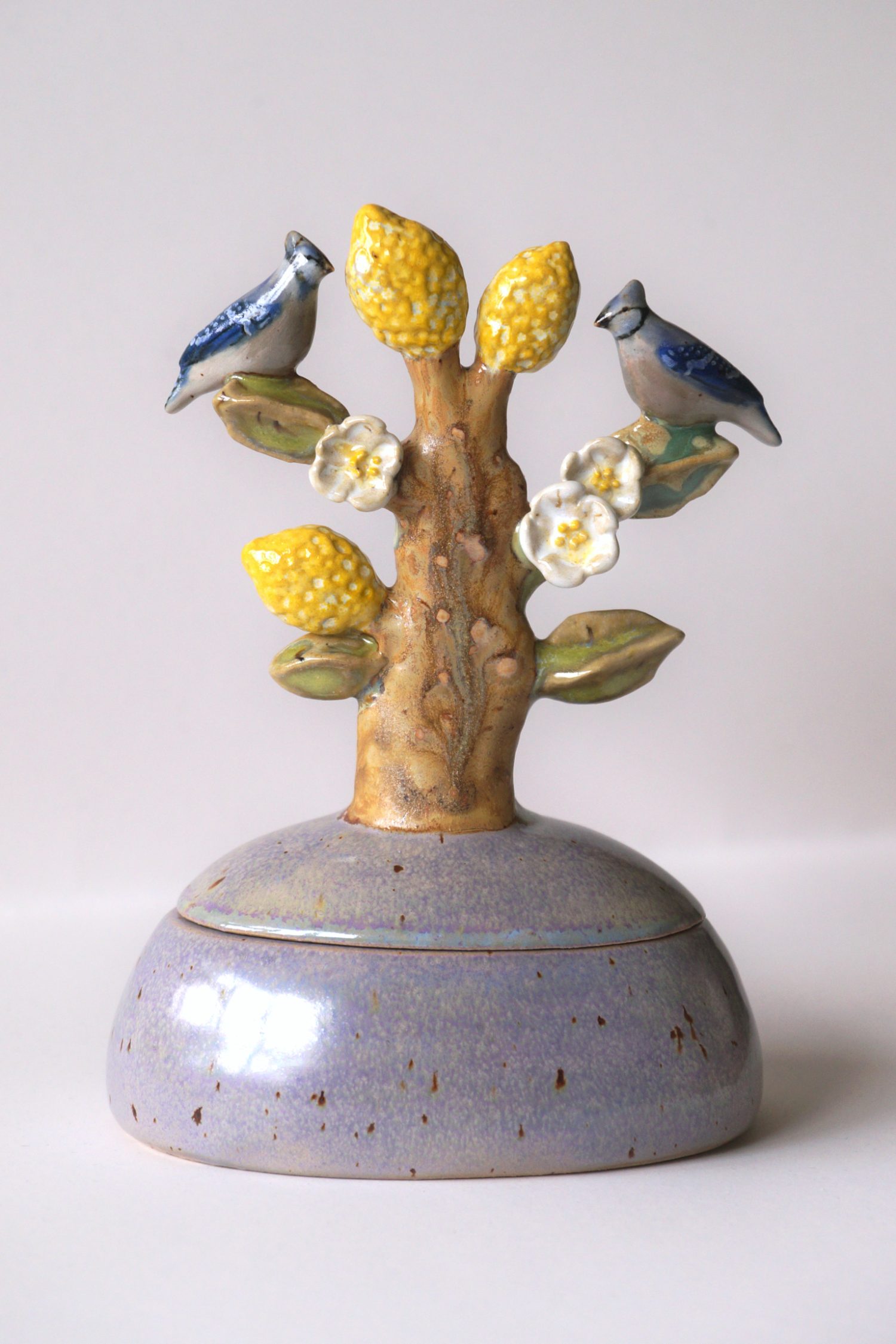 Jays on a Lemon Tree Box - Svetlana Solovaya