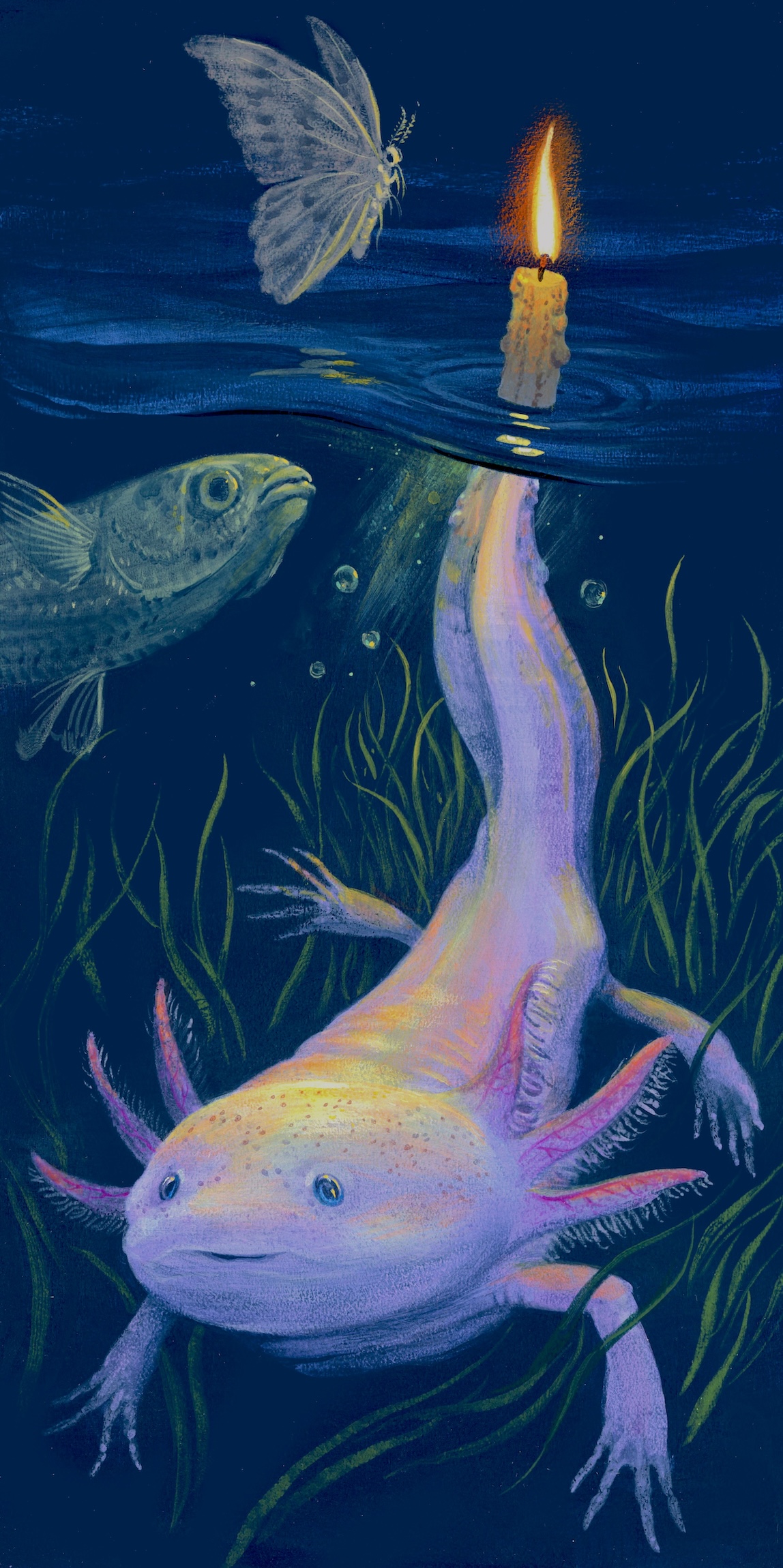 Waxolotl - C.M. Duffy